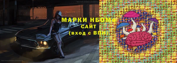 гашик Коряжма