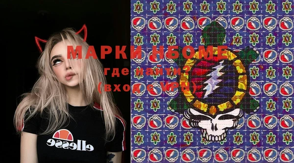 гашик Коряжма