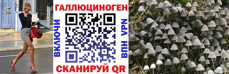 Купить где  Среднеуральск  Псилоцибиновые грибы Psilocybine cubensis 